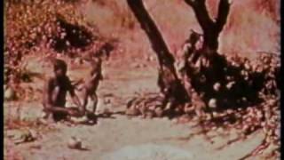 3-2-1 Contact segment -- Tribal life in Botswana, Africa/ American Family Values -- 1980