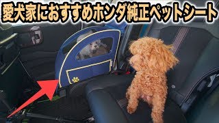 ホンダ純正オプション ペットシートプラスわんは愛犬家におすすめ！N-BOXオプション