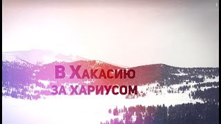 В Хакасию за хариусом / Ловим хариуса зимой