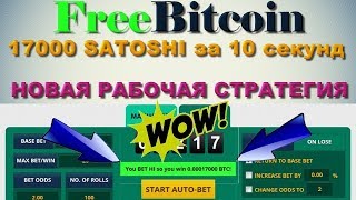 Freebitcoin новая прибыльная стратегия с нуля 2018! Стратегия для маленького баланса! Для новичков!