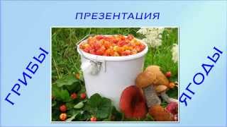 Презентация для дошкольников грибы и ягоды