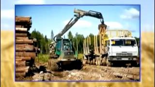 Гранулятор кормов и биотоплива