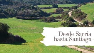 El camino completo desde Sarria hasta Santiago de Compostela en invierno..