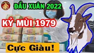Tử Vi Tháng 1 ÂL Kỷ Mùi 1979 Sẽ Ra Sao? May Mắn Giàu Có Hay Vận Hạn Thế Nào?