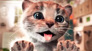 ПРИКЛЮЧЕНИЕ МАЛЕНЬКОГО КОТЕНКА мультик смешное видео для детей мультфильм про котиков #ММ