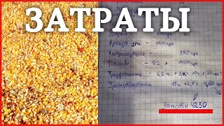Затраты и доход на выращивании Кукурузы! Бизнес в селе на кукурузе!