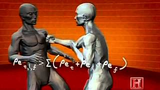 MMA Training Video Human Weapon