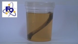 Un hueso de goma