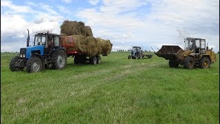 Сенокос 2019:Погрузка рулонов Амкодором и их транспортировка тракторами МТЗ на сенобазу