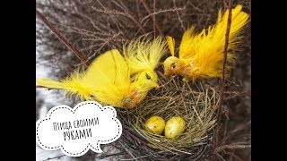 Птица своими руками.Декор на пасху.Bird do it yourself. Decor for Easter.