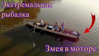 ШОК, ЗМЕЯ В ЛОДОЧНОМ МОТОРЕ, Рыбалка в астрахани, ловим сазана