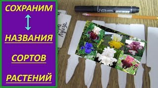 Как сохранить названия растений и сортов? Маркеры/бирки для растений