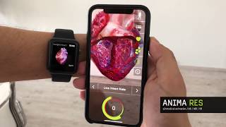 INSIGHT HEART - Live Heart Rate