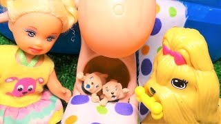 У Барби родились щенята.  Катя и Макс в бассейне.  Мультик про кукол