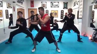 TIGER FORM - Freddie's Modern Kung Fu