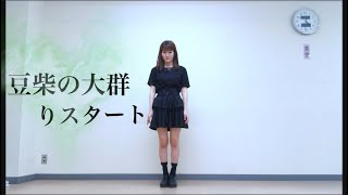 りスタート/豆柴の大群 踊ってみた【ちぇりー】
