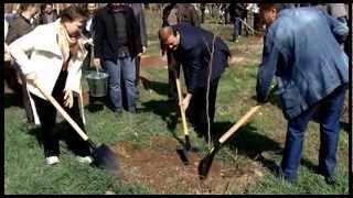 Մաքուր և կանաչ Երևան - AveliLavYerevan's Channel