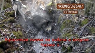 Красочная охота на кабана и косулю.  Часть 1.