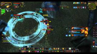 85 Feral Druid PvP & 85 Disc Priest PvP Arena 2x POV