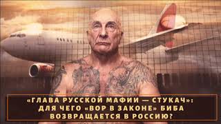 Возглавит ли "Биба" мир воров в законе?