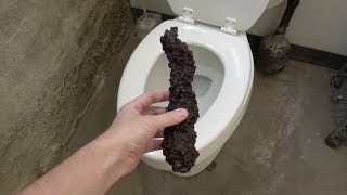 Whats inside Dinosaur Poop?