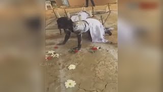 ПОЙМАЛИ НАСТОЯЩУЮ ВЕДЬМУ 5 СТРАШНЫХ ВЕДЬМ СНЯТЫХ НА КАМЕРУ 2