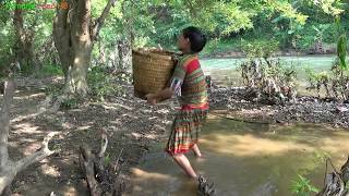 Survival skills - Primitive skills Catching Big Catfish by Hand - catch catfish by the stream