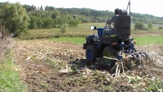 Минитрактор из мотоблока. Уборка кукурузы.