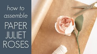 How to Make a Paper Juliet Rose- Assembly Instructions