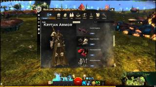 Guild Wars 2: New Gem Store Armor