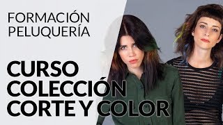 Curso Colección Corte y Color