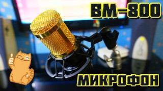 Обзор микрофона BM-800