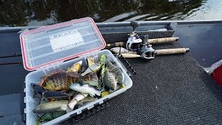 Using HUGE Swimbaits in the Amazon Challenge!!?