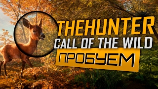 theHunter: Call of the Wild. Пробуем игру про охоту. Симулятор охоты. Обзор