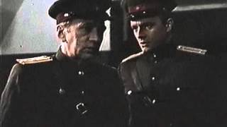 Вишневі ночі