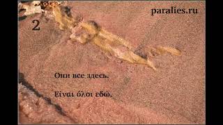Греческий для начинающих онлайн. Урок 2 с титрами