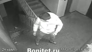 Разруха не в клозетах, а в головах