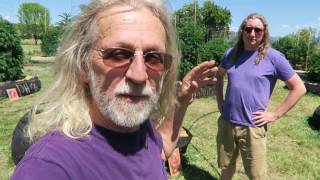 Grow Marijuana: 500-Gallon Containers 16 Inches Deep