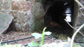 Feldbahndiesel mit Binnie Loren