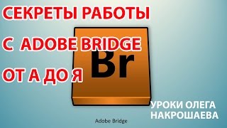 Adobe Bridge Урок 4 Выбираем нужные панели