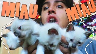 SOY PAPÁ GATUNO 2 - Dororock