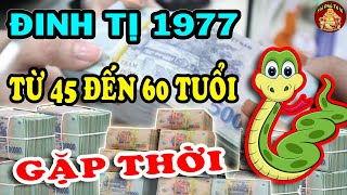 Tử Vi 2022 Đinh Tị 1977 Biết Được Ý Trời, Đổi Đời ĐẠI GIA Từ 45 Đến 60 Tuổi