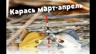 Как ловить карася в марте начале апреля на поплавочную удочку по открытой воде?