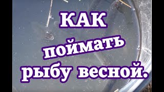 Как поймать рыбу весной.