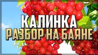 КАЛИНКА МАЛИНКА разбор на баяне
