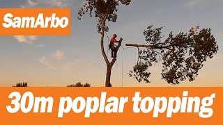 Красивое видео работы арбориста #Арбористика [SamArbo]