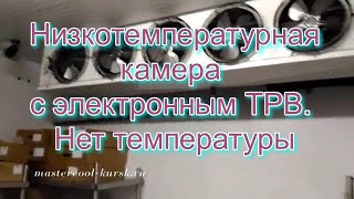 НТ камера с электронным ТРВ. Нет температуры