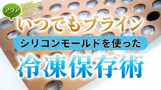 #アクアリウム 孵化したブラインシュリンプはシリコンモールドで冷凍保存！