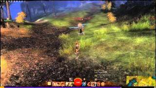 Guild Wars 2 - Warrior Sprint & Last Stand Trait Testing