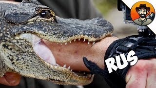 УКУС АЛЛИГАТОРА!  Brave Wilderness на русском